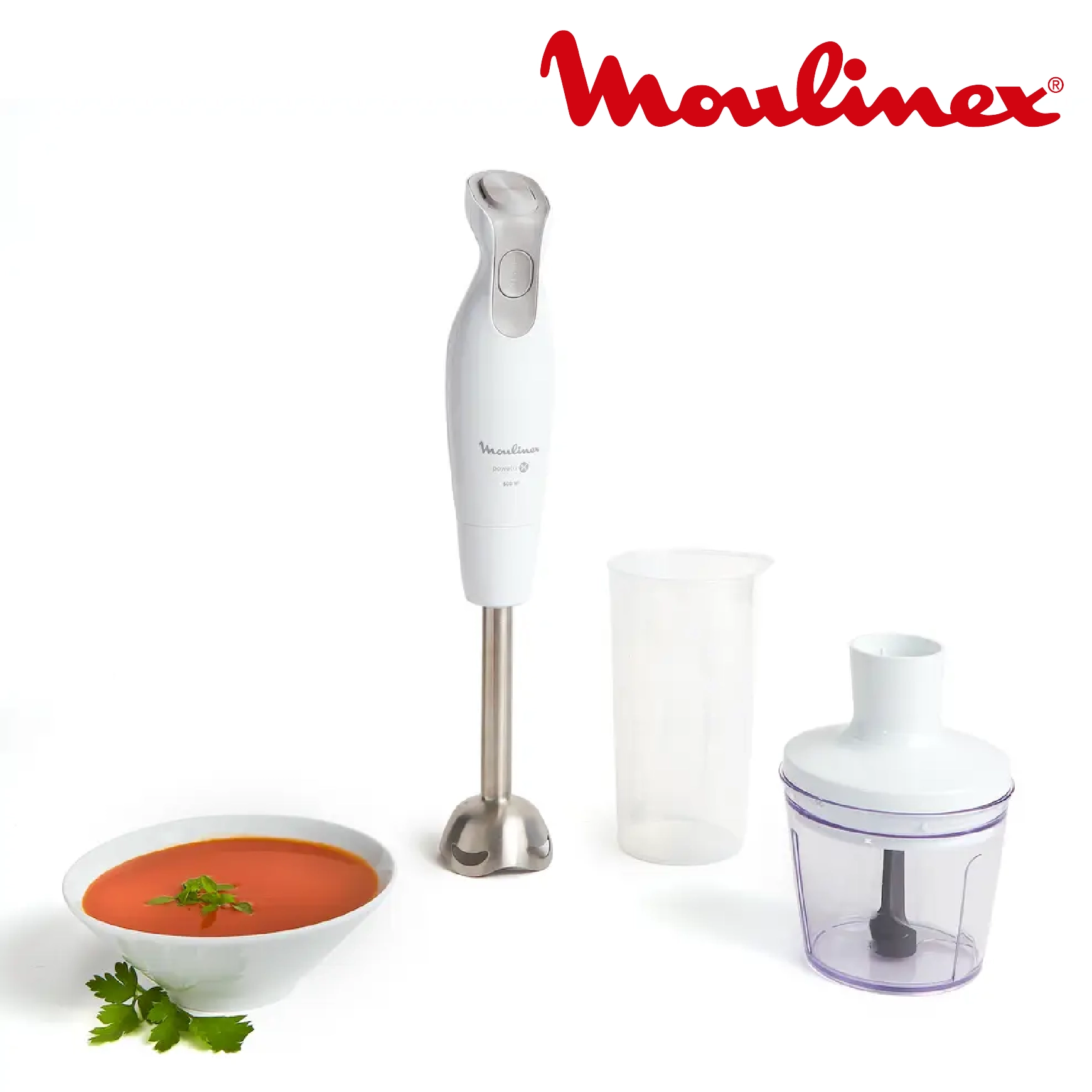 Moulinex Dailychef Mixeur 2en 1 DD5521